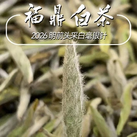 白茶;红茶;茶叶包装