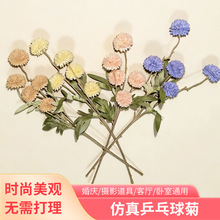 5�^����ƹ�Ҿջ�c�bҾӔ[���߼��мٻ�����Y�b��Ĕz����