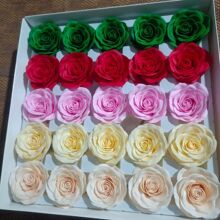����7���K��õ�廨�������^�S�����l�������������Y�л����YƷdiy