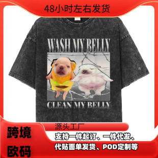 Pibble Meme wash My Belly Clean My Belly Meme̖T��͹�ˮϴ��