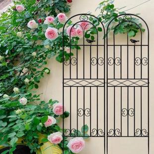 ✅ Clematis Climbing Frame Rose Climbing Plant Net Flower Stand Courtyard Garden Outdoor Wrought Iron Fence Support