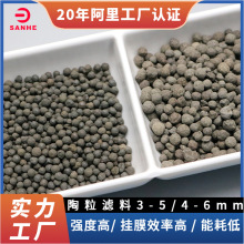 陶粒滤料工业污水BAF曝气池专用3-5mm高效挂膜轻质生物陶粒滤料