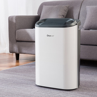 De'Ye Dehumidifier Z20B3