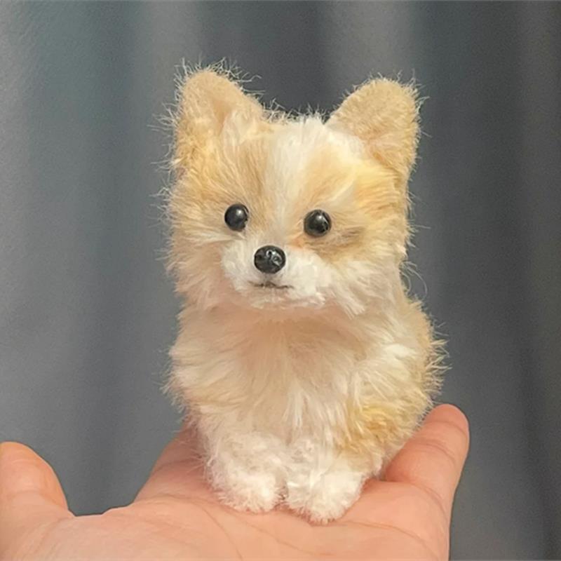 토끼털 노란색 코기 강아지 소재