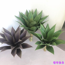 ��ֻ/�������m�J�C��Ƥ�m��̖����Gֲ���}���ʹ��m���m��@��ֻ/