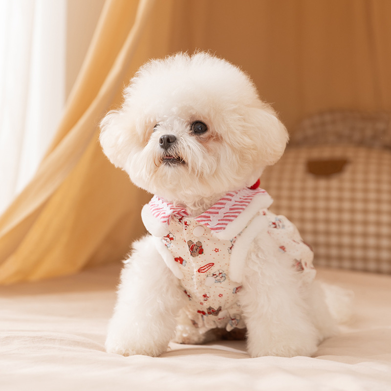 Nueva ropa de perro otoño invierno arco cálido vestido de princesa algodón peluche ropa de mascotas image 5