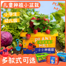 Ecoey兒童益智早教種植玩具DIY植物發芽盆栽小玩具禮物小花農批發