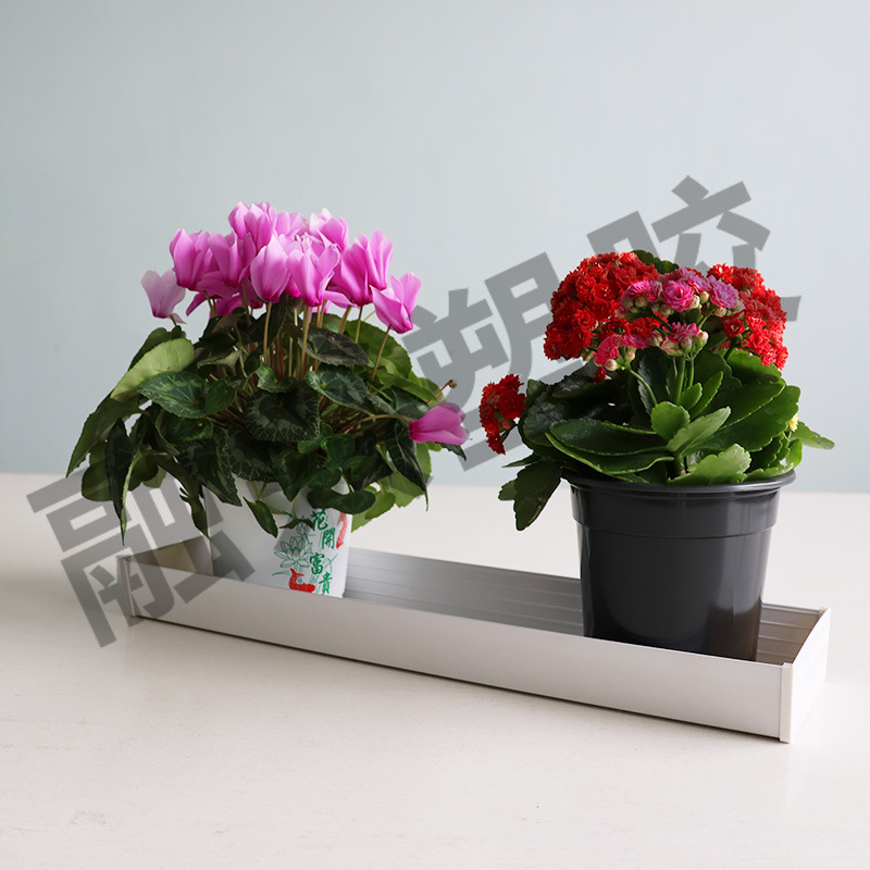 Wholesale small gardener's ridge-type potted plant watering trough…