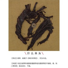 100�� ș�� ��Ʒ �ϲ� ��l �a�½��ϲ� ܛ�ϲݣ��f㕲� �ϲݸ���