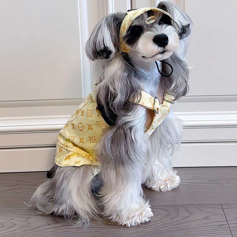 hmqViviiyNSAyin9WuaTt6nf3MrOX9/as0f4