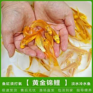 ��ؔ�S���\����ˮ���B���P�ͻ��Lˮ���~��ˮ���~�^�p�~�~�����l