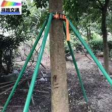 树木支撑架大树防风园林绿化支架树苗固定器镀锌钢管树木支撑杆