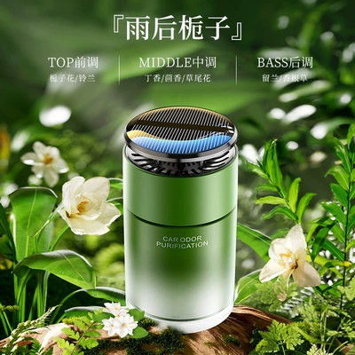 Car Perfume Aromatherapy for the center console cup - gardenia-after-the-rain-180g