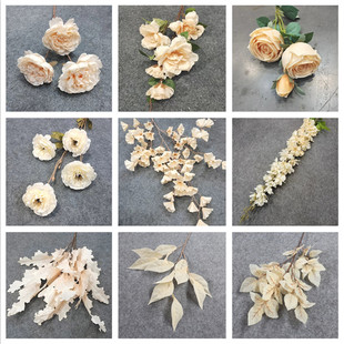 �S�����l�������T·�������b��Ļ�c�Ƶ��Y�÷��滨���㙉ɫ