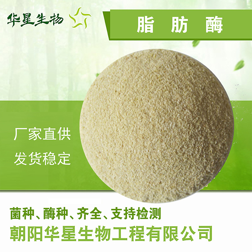 华星生物 脂肪酶 5万u/g饲用养殖畜牧水产GB生物酶制剂原粉厂家