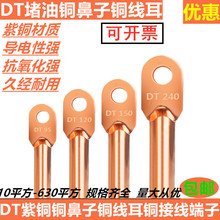 铜鼻子DT10 16 25  50平方电缆线接头线鼻子铜接线端子铜线耳端头
