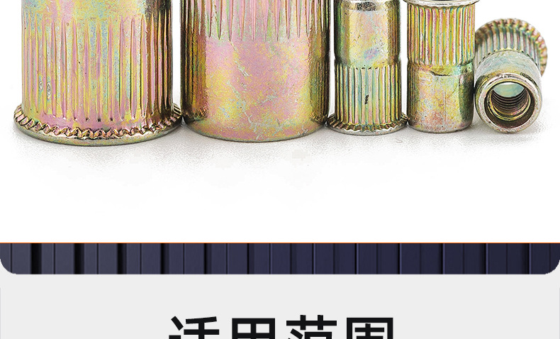 304不锈钢-镀彩锌小沉头竖纹拉铆螺母_03_20.jpg