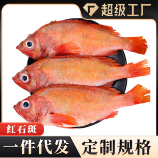 �tʯ���~�r��������󺣲��r����������~���l���F�~���lһ�����l