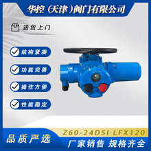 Z60-24DSI LFX120���{��600Nm�����l�y��ֹ�y���y���y�L�y��