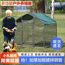 户外鸡笼大型养殖鸡棚户外防雨棚家禽鸡笼子鸭棚家用鸽笼孔雀鸡舍