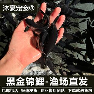 ������������ɫ���P�\���\�a��ڲݽ�С���~���B�ͻ���ˮ�^�p�~