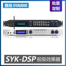 SYK-DSP IǰЧ̎[зƹȫԄ