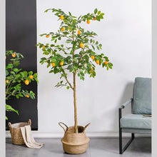 ���晎�ʘ�Gֲ���Ա��Wins�L�W�t�����҃��b��͏d�[����ֲ��