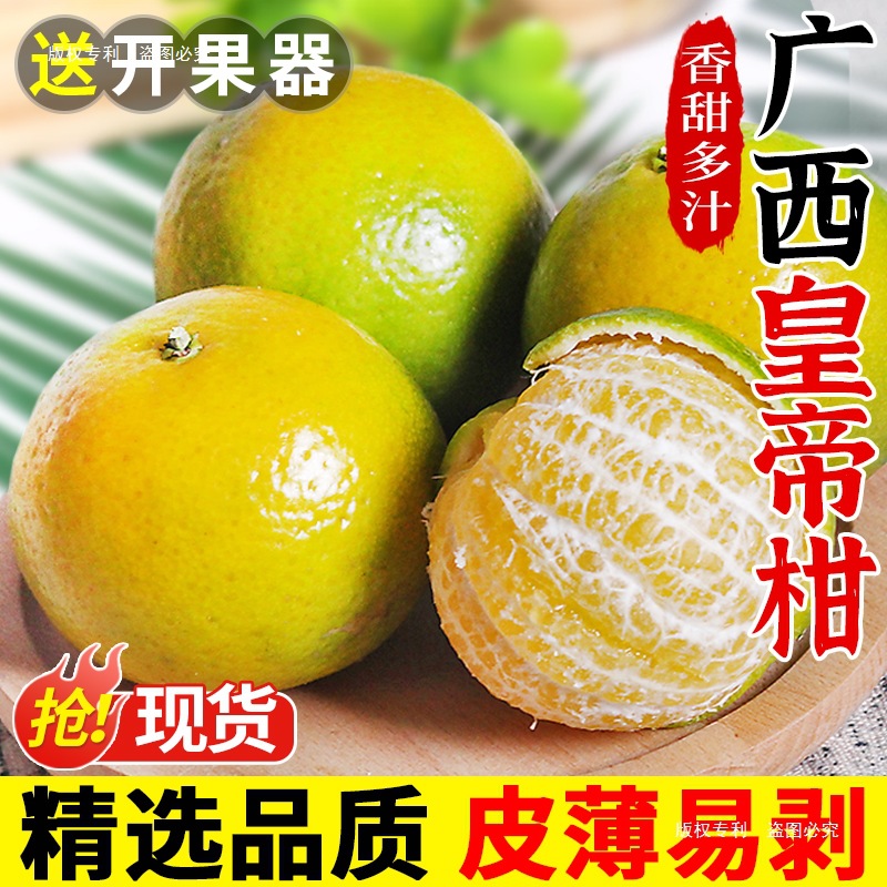 广西皇帝柑新鲜橘子水果当季现摘蜜桔子贡柑甜橘老树大果包邮