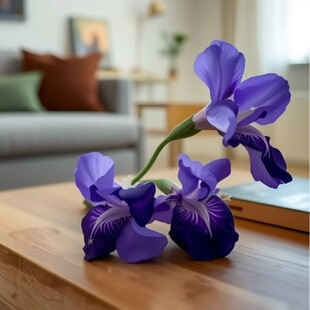 �{���Sβ�ݷN�����Թ��@ͥԺ�����������{���񻨾G���͝�����޸�