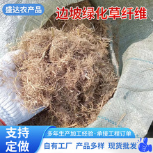 边坡防护绿化草纤维 绿植覆盖草地绿化环保植生毯用草纤维