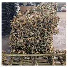 �F· �܉���m�����l������������ ��̖�B�m���F·���