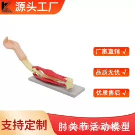 教学演示用品;数理教学器材;生物教学器材