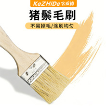 ��һ�����l�����Sֱ�N�iëˢ ���ò������� �i�׈Aˢ/��ˢ/�LͲˢ