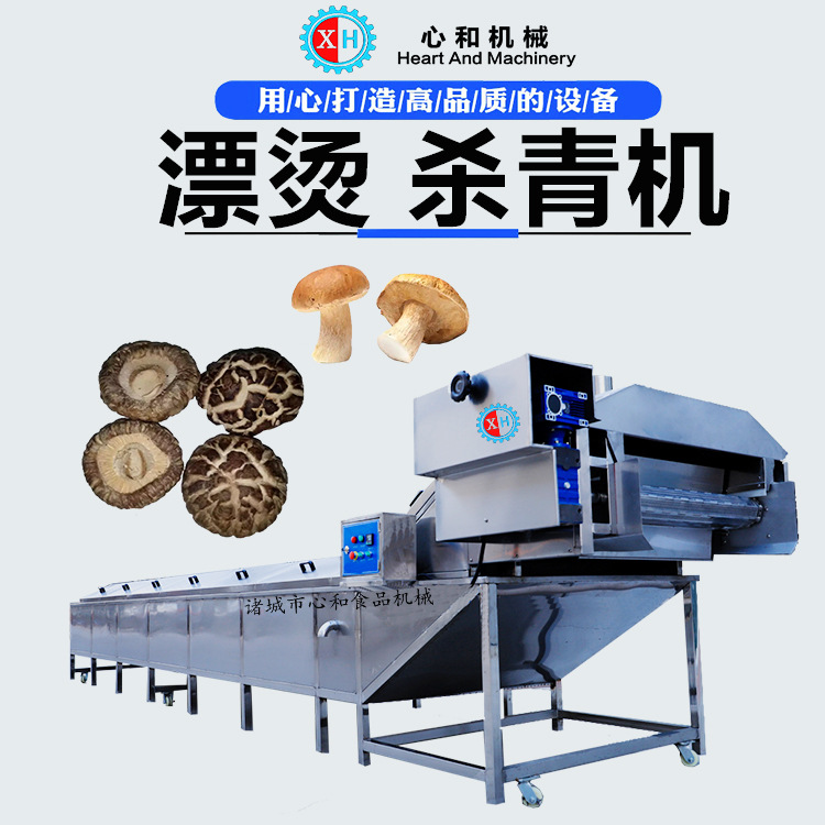 自动海鲜预煮冷却流水线 桑芽菜蔬菜杀青漂烫机 食用菌清洗蒸煮机