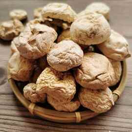 口蘑净重口蘑干货农家香菇坝上白蘑菇双孢菇菌菇煲汤食材火锅口蘑