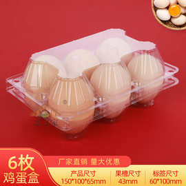 6枚一次性塑料鸡蛋托柴土鸡蛋托包装礼盒透明防震加厚厂家包邮