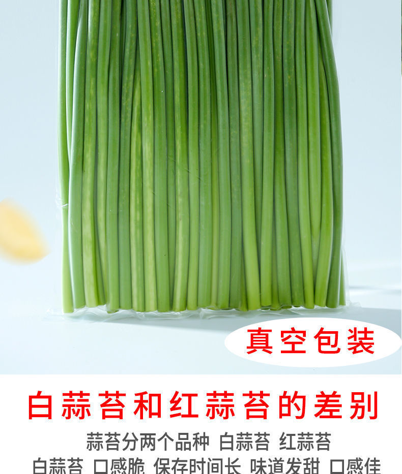 蒜毫,蒜台,蒜芽(第9页)_大山谷图库