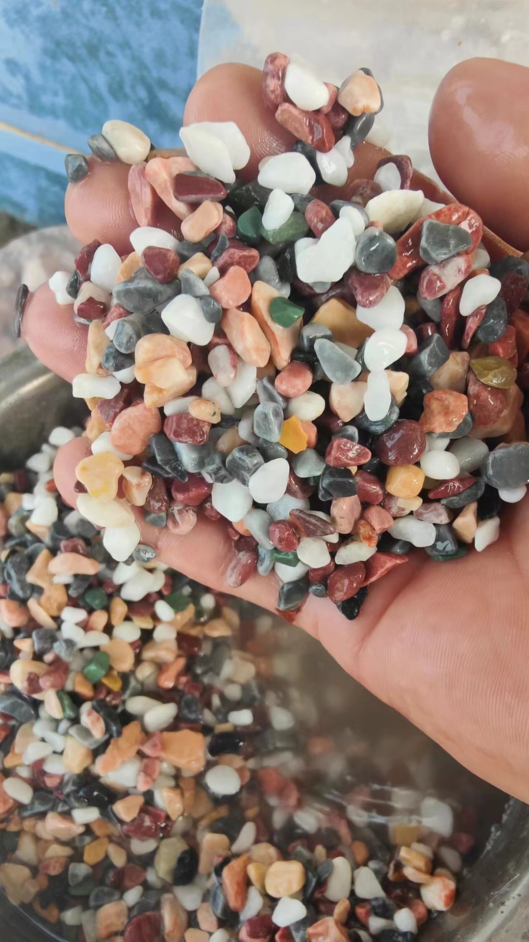 微信图片_20231026191231