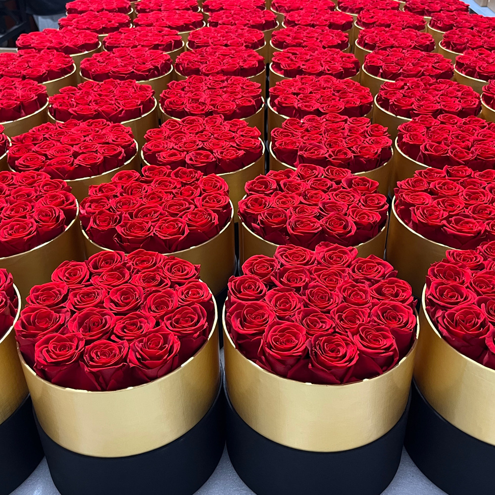 Serie de productos terminados de flores preservadas en cubo acrílico, rosa de San Valentín con cabeza de hongo, regalo para el Día de la Madre de Amazon