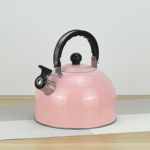 Customized Stainless Steel Flat-Bottomed Kettle with Magnetic Hemispherical Kettle Colorfulful Whistle Induction Cooker Kettle