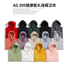 } AG300˽^Bñl±p沼հñӡlogo