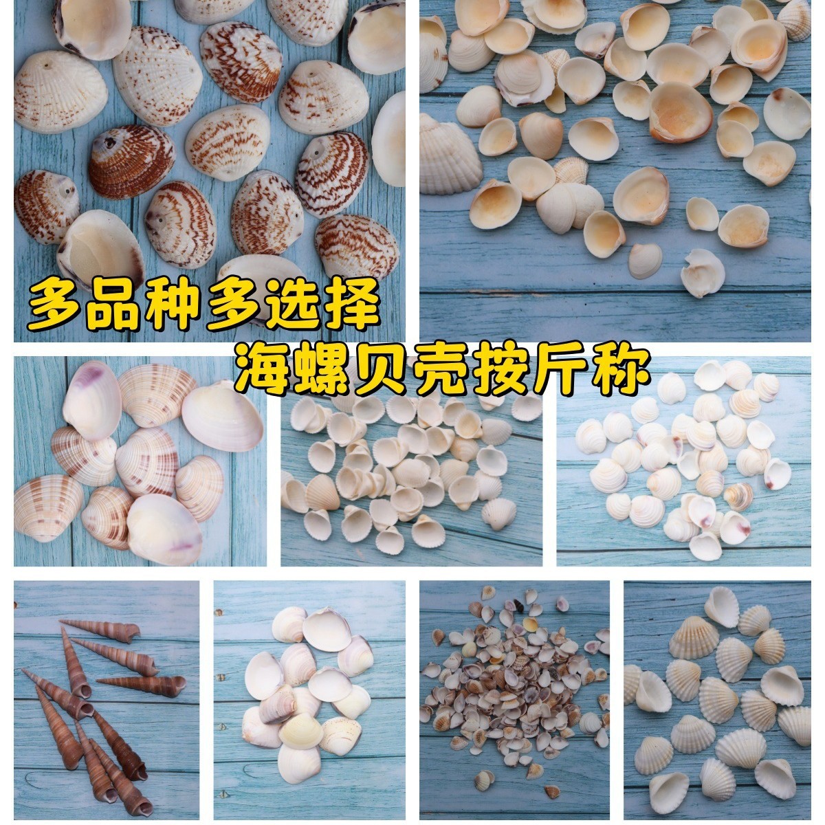 표류 병 액세서리 쉘 소라 바다 스타 홈 물고기 탱크 수족관 대비 마이크로 조경 병 작은 머리 껍질 0.50kg