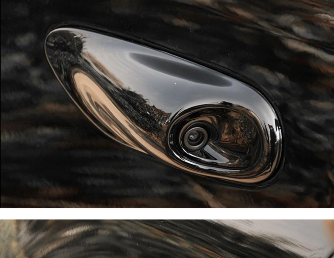 24-25 Model Zhiji LS6 side camera protective cover decorative exterior modification fender shell cover accessories wholesale