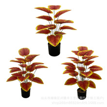 RdGֲG}~ֲ^zS~cҾb辰[