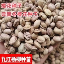 ���ѻ��N�� �ѻ��N�� ɽ�ѻ��N�� �ѻ���N�� ��϶��ѻ��N��