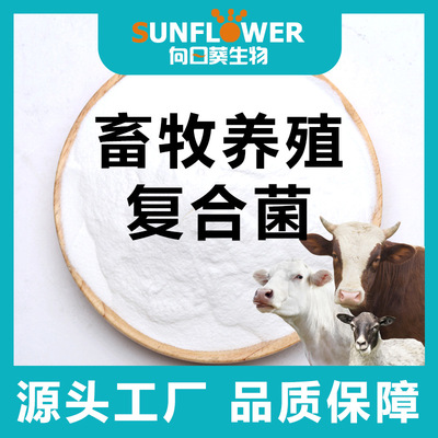 畜牧养殖用复合益生菌牛羊猪饲料添加剂养殖乳酸菌粉