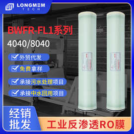 泷膜卷式工业反渗透膜元件8040抗污染RO膜水处理净化设备配件