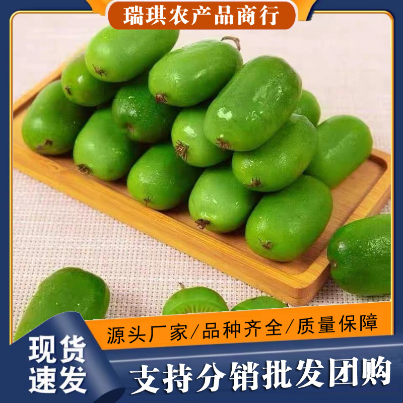 正宗丹东软枣猕猴桃3斤整箱新鲜水果软糯10批发包邮5奇异莓圆枣子