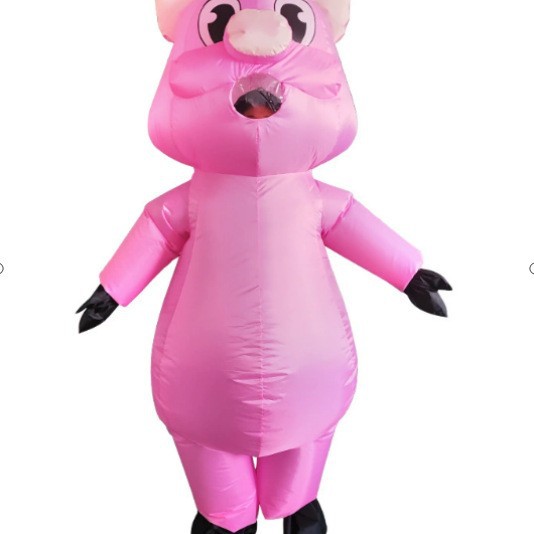 Traje inflable personalizado transfronterizo Traje de fiesta de Halloween Montar dinosaurio Alien Santa Claus Traje de muñeca de tiburón