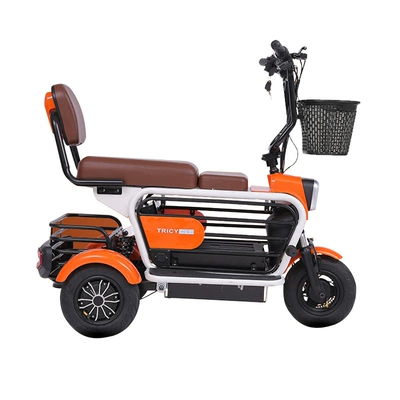 Elderly/Pet Use: Dingzhi Auto Parts and Accessories